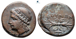 Lucania. Thourioi circa 280-213 BC. Bronze Æ
