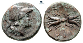 Sicily. Syracuse circa 305-295 BC. Bronze Æ