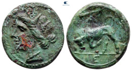 Sicily. Syracuse. Hieron II 275-215 BC. Bronze Æ