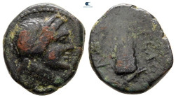 Sicily. Syracuse circa 214-212 BC. Bronze Æ