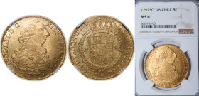 Chile Spanish colony 1797 So DA 8 Escudos - Carlos IV (bust of Carlos III, CAROL IIII) Gold (.875) Santiago Mint (43000) 27.067g NGC MS 61 KM 54