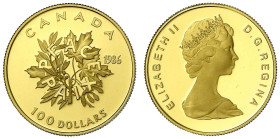 Ausländische Goldmünzen und -medaillen
Kanada
Britisch, seit 1763
100 Dollars 1986, UN Internationales Jahr des Friedens. 16,97 g. 917/1000. In Kap...