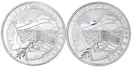 Ausländische Münzen und Medaillen
Armenien
2 Stück: 500 Dram 2014 und 2019, Arche Noah. Je 1 Unze Feinsilber. In Kapseln. Stempelglanz. Krause/Mishl...