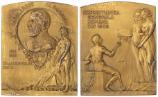 Ausländische Münzen und Medaillen
Rumänien
Carl I., 1866-1914
Rechteckige Bronzeplakette 1906 von Cizek, a.d. allgem. rumän. Ausstellung zum 40. Re...