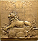 Haus Österreich. Franz Josef I., Kaiser von Österreich 1848-1916 
Einseitige Bronzeplakette 1915 von Franz Stiasny, auf die österreichische Waffenbrü...