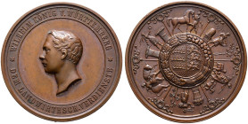 Württemberg. Wilhelm I. 1816-1864 
Bronzene Prämienmedaille o.J. (verliehen 1858-ca. 1913) von Dietelbach (unsigniert), für landwirt­schaftliche Verd...