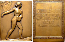AACHEN. RWTH Aachen 
Bronzeplakette 1909 ohne Signatur. Erste Ausführung der Borchers-Plakette. Eine die Weisheit aussäende, leicht bekleidete Frau n...