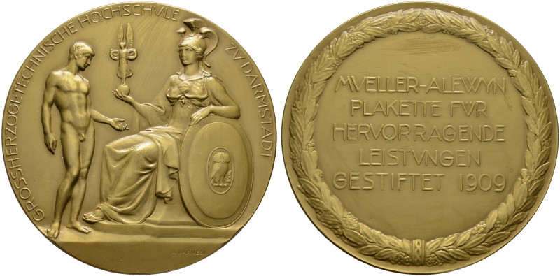 DARMSTADT. Technische Hochschule Darmstadt 
Bronzene Verdienstmedaille o. J. (1...