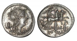 MARCIA. Denario. M.Marcius Mn.f. Roma. CD-934, SI-8. 4,00 g. Bonito color. EBC/EBC+