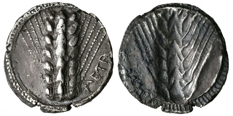 Lucania. Metaponto. Estátera. 530-510 a.C. (Se-235). (Cop-1168). Anv.: Espiga, a...