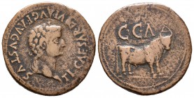 Caesar Augusta. As. 14-36 d.C. (Abh-367). (Acip-3060). Ae. 12,44 g. Época de Tiberio. MBC-. Est...75,00.