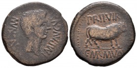 Calagurris. As. 27 a.C.-14 d.C. Calahorra (Logroño). (Abh-415). (Acip-3121). Ae. 13,56 g. Época de Augusto. Limpiada. BC. Est...45,00.
