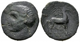 Cartagonova. Caloco. 220-205 a.C. Cartagena (Murcia). (Abh-552). Anv.: Cabeza masculina a izquierda. Rev.: Caballo parado a derecha, detrás palmera. A...