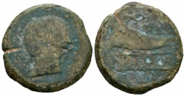 Dipo. As. 120-50 a.C. Elvas (Portugal). (Abh-897). Anv.: Cabeza masculina a derecha. Rev.: Cuerno de la abundancia a izquierda, debajo DIPO en cartela...