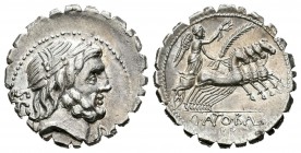 Antonia. Denario. 83-82 a.C. Taller Auxiliar de Roma. (Ffc-158). (Craw-364/1c). (Cal-141). Anv.: Cabeza laureada de Júpiter a derecha, detrás SC, deba...
