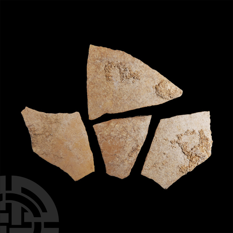 Natural History - Giant Elephant Bird Eggshell Group
Pleistocene Period, 2.6 mi...