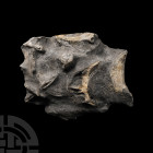 Natural History - Polished Fossil Ichthyosaurus Vertical Vertebra Section