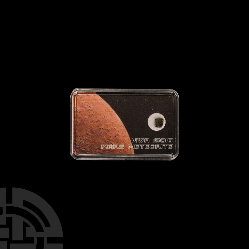Natural History - NWA 15016 Mars Rock Meteorite
Discovered in 2022 A.D. Classif...