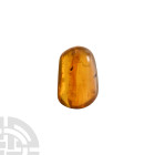 Natural History - Amber with Insect Inclusions