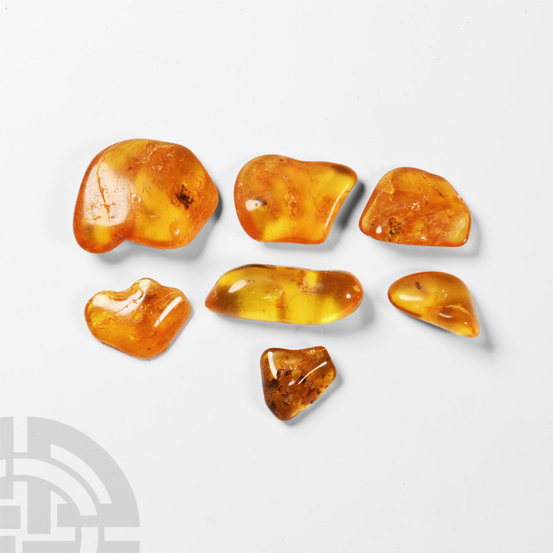 Natural History - Insects in Baltic Amber Group
Oligocene Period, circa 45 mill...