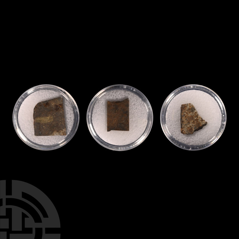 Natural History - NWA 15016 Martian Shergottite Meteorite Slice Collection
Disc...