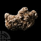Natural History - Selenite Mineral Cluster