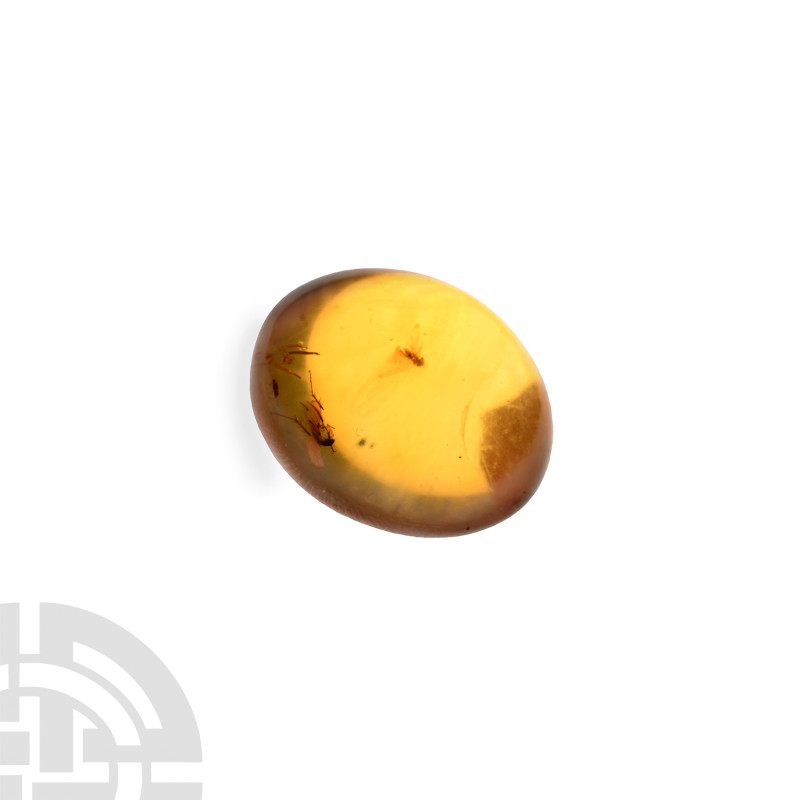 Natural History - Amber with Insect Inclusions
Oligocene Period, circa 45 milli...