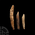 Natural History - Fossil Hybodus Shark Fin Spine Group
