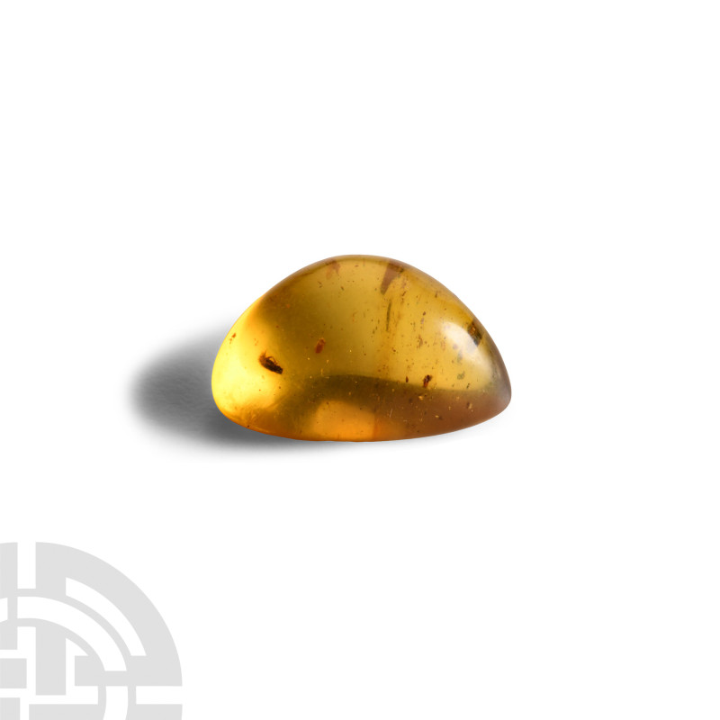 Natural History - Amber with Insect Inclusions
Oligocene Period, circa 45 milli...