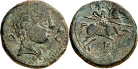 Bilbilis (Calatayud). As. (FAB. 258) (ACIP. 1576). Acuñación floja en pequeña zona. 13,18 g. (MBC).