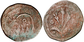 Arbeca. Senyal. (Cru.L. 1023) (Cru.C.G. 3633). Oxidaciones. Rara. 4 g. BC+.