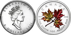 Canadá. 2001. Isabel II. 5 dólares. (KM. 436). En estuche oficial con certificado. Ex Áureo & Calicó 31/01/2013, nº 4021. AG. 31,53 g. S/C.