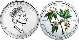 Canadá. 2003. Isabel II. 5 dólares. (KM. 521). En estuche oficial con certificado. Ex Áureo & Calicó 31/01/2013, nº 4024. AG. 31,40 g. S/C.