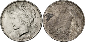 Estados Unidos. 1923. Filadelfia. 1 dólar. (KM. 150). AG. 26,75 g. EBC.