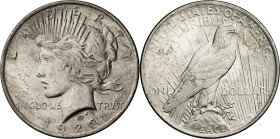 Estados Unidos. 1923. Filadelfia. 1 dólar. (KM. 150). AG. 26,76 g. EBC+.