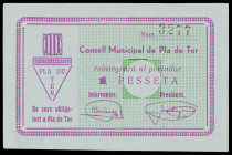 El Pla de Ter. 1 peseta. (T. 2148a). Único billete emitido por esta la localidad. EBC-.