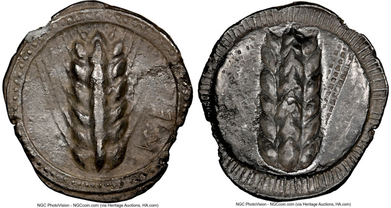 LUCANIA. Metapontum. Ca. 510-470 BC. AR stater (26mm, 6.96 gm, 12h). NGC (photo-...