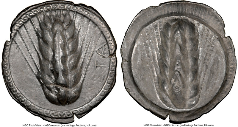 LUCANIA. Metapontum. Ca. 510-470 BC. AR stater (25mm, 12h). NGC Choice VF, flan ...