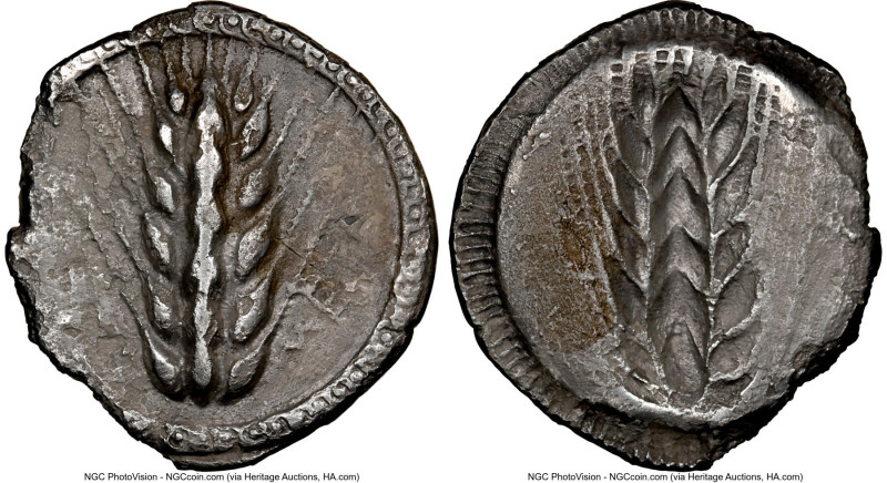 LUCANIA. Metapontum. Ca. 510-470 BC. AR stater (26mm, 6.68, 12h). NGC (photo-cer...