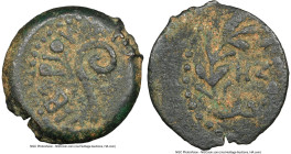 JUDAEA. Roman Procurators. Pontius Pilate (AD 26-36). AE prutah (16mm, 10h). NGC VF. Jerusalem, dated Regnal Year 17 of Tiberius (AD 30). TIBEPIOY KAI...