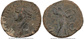 Claudius I (AD 41-54). AE as (27mm, 13.61 gm, 6h). NGC AU 5/5 - 3/5, scuff. Uncertain western branch mint, ca. AD 41-50. TI CLAVDIVS CAESAR AVG P M TR...