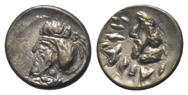 Könige der Persis. Napad, Sohn des Namopad (1. Jhdt. n. Chr.).

 Hemidrachme (...