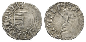 Walachei - Fürstentum. Vladislav I. (1364 - 1377).

 Dukat (Silber).
Vs: + M(oneta) LADIZLAI WOIWODE. Gespaltenes Wappenschild.
Rs: TRANS - ALPINI...