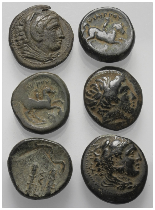 Griechische Münzen - Lots.


Philippos II. / Alexander III. (Königreich Maked...