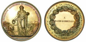 ESPOSIZIONE INDUSTRIALE ED ARTISTICA DI CAPITANATA (FOGGIA). Medaglia in argento 1865.