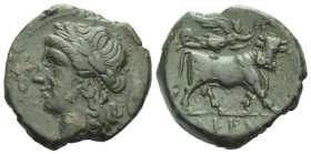 Campania , Cales Bronze circa 265-240 - From a private British collection.