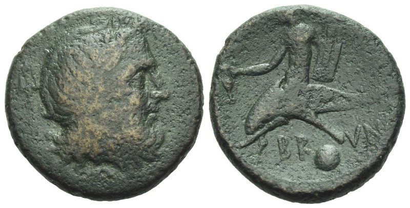 Apulia, Brundisium Uncia circa 215, Æ 22.00 mm., 7.93 g.
Laureate head of Neptu...