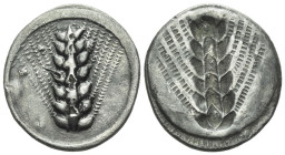 Lucania, Metapontum Plated nomos circa 510-480
