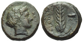 Lucania, Metapontum Obol circa 425-350