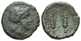 Lucania, Metapontum Bronze circa 220-220